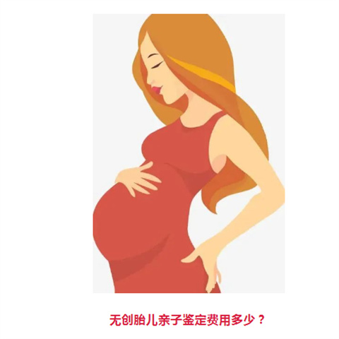 南京胎儿dna亲子检测多少钱一次?